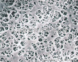 日本ADVANTEC疏水性膜 过滤膜代理