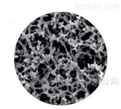 硝酸纤维素( NC 膜 )10401312  0.2um 微孔滤膜
