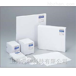 QR-200 150MMADVANTEC玻璃纤维滤纸